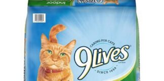 top 10 most inviting cat meals of 2024 nourish your feline buddy with top price food regimen.jpg