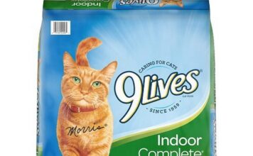 Top 10 Most inviting Cat Meals of 2024: Nourish Your Feline Buddy with Top price Food regimen top 10 most inviting cat meals of 2024 nourish your feline buddy with top price food regimen.jpg