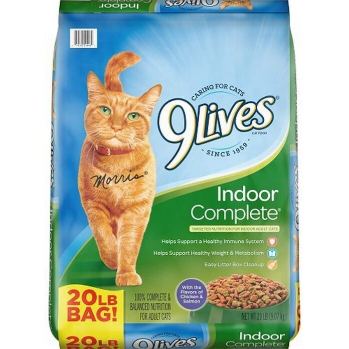 top 10 most inviting cat meals of 2024 nourish your feline buddy with top price food regimen.jpg