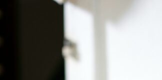 top 10 simplest cat meals of 2023 dietary quality taste your tom cat will esteem.jpg