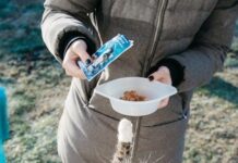 Top 10 Most productive Cat Foods of 2023: Nutritional Powerhouses for Contented, Wholesome Cats top 10 most productive cat foods of 2023 nutritional powerhouses for contented wholesome cats.jpeg