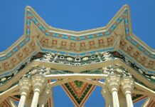 High 10 Should always-Have Cat Merchandise for Overjoyed, Healthy Tom cats in 2023 high 10 should always have cat merchandise for overjoyed healthy tom cats in 2023.jpg