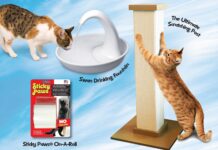 High 10 Must-Include Cat Products for Satisfied and Healthy Tom cats high 10 must include cat products for satisfied and healthy tom cats.jpg
