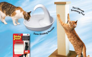 High 10 Must-Include Cat Products for Satisfied and Healthy Tom cats high 10 must include cat products for satisfied and healthy tom cats.jpg