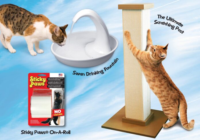 high 10 must include cat products for satisfied and healthy tom cats.jpg