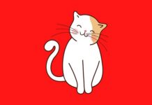 Decoding Cat Behavior: 10 Valuable Indicators Your Cat Is Making an are trying to Keep up a correspondence With You decoding cat behavior 10 valuable indicators your cat is making an are trying to keep up a correspondence with you.png