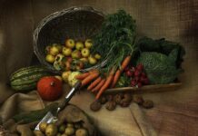 Final Handbook to Cat Nutrition: Crucial Guidelines for a Wholesome Feline Weight loss program final handbook to cat nutrition crucial guidelines for a wholesome feline weight loss program.jpg