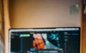 High 10 Must-Salvage Cat Products for Happy, Wholesome Felines in 2023 high 10 must salvage cat products for happy wholesome felines in 2023.png