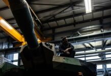 Mastering the Art work of Cat Working in direction of: Essential Pointers for a Successfully-Behaved Tom cat mastering the art work of cat working in direction of essential pointers for a successfully behaved tom cat.jpg