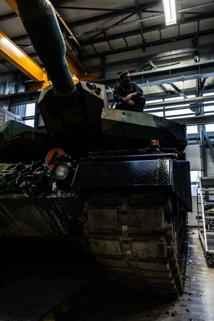 mastering the art work of cat working in direction of essential pointers for a successfully behaved tom cat.jpg