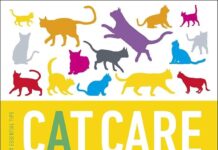 Cat Care Every Proprietor Must Know For Delighted Felines 10 crucial cat care programs every proprietor must know for delighted wholesome felines.jpg