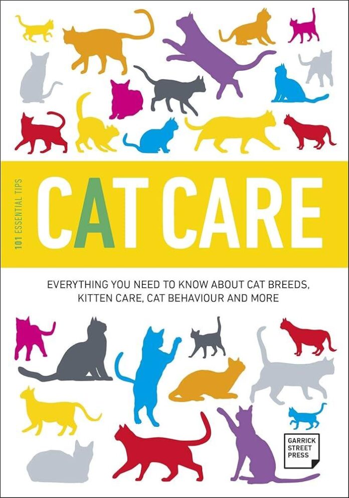 10 crucial cat care programs every proprietor must know for delighted wholesome felines.jpg
