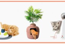 Top 10 Must-Safe Cat Merchandise for Fully chuffed, Healthy Pussycats in 2023 top 10 must safe cat merchandise for fully chuffed healthy pussycats in 2023.jpg