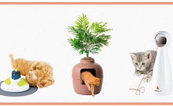Top 10 Must-Safe Cat Merchandise for Fully chuffed, Healthy Pussycats in 2023 top 10 must safe cat merchandise for fully chuffed healthy pussycats in 2023.jpg