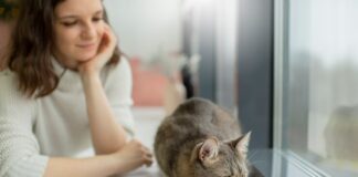 How Can I Keep My Cat Healthy and Happy? New Best 2025 Tips A cat enjoying a balanced meal in a clean dish