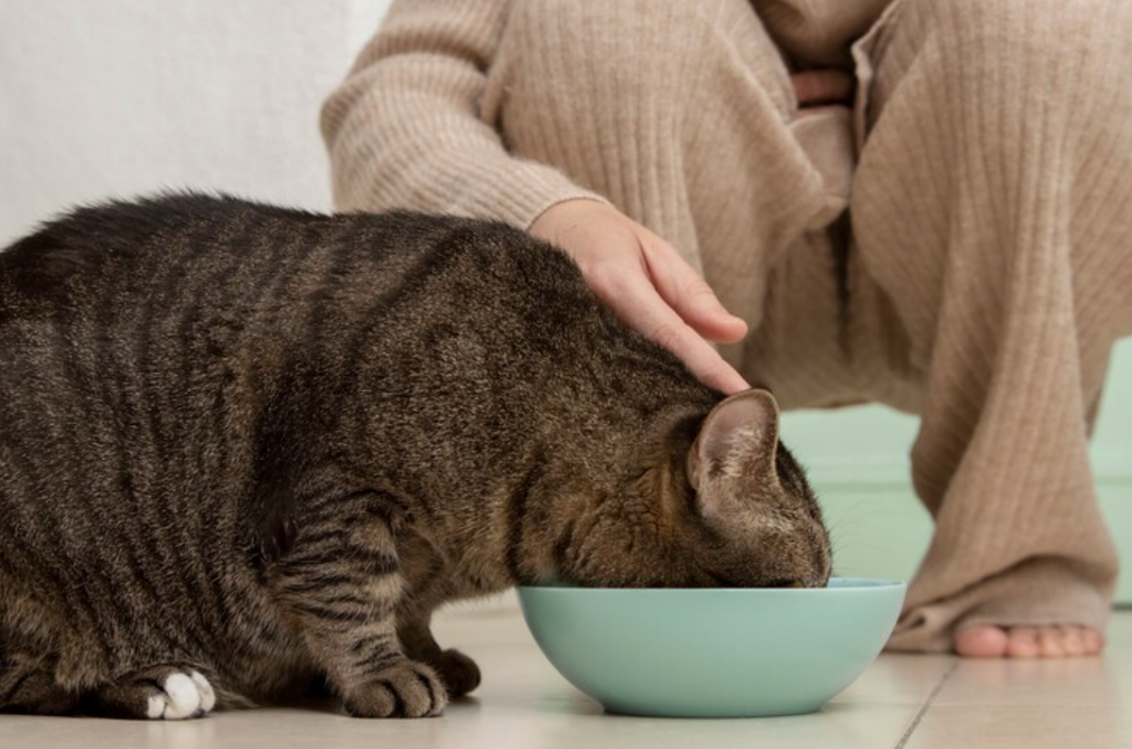enjoying a warm meal from a bowl