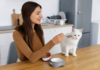 What Should I Do If My Cat Is Not Eating? Great 2024 Tips A concerned cat owner looking at a full food bowl What Should I Do If My Cat Is Not Eating Great 2024 Tips