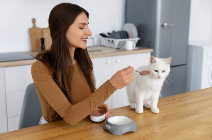 A concerned cat owner looking at a full food bowl What Should I Do If My Cat Is Not Eating Great 2024 Tips