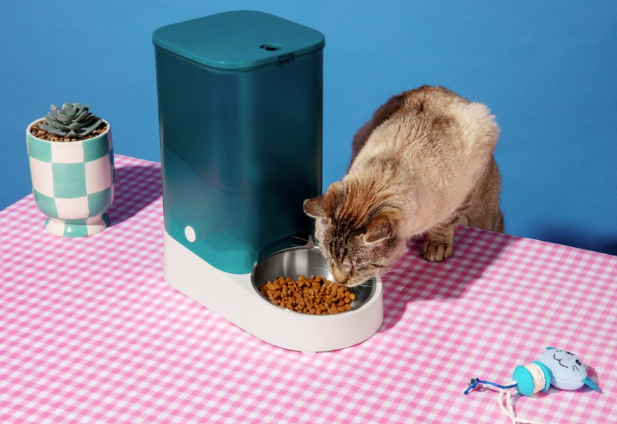A puzzle feeder in use with a playful cat