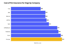 How Much Is Pet Insurance And What Is The Best One? How Much Is Pet Insurance And What Is The Best One