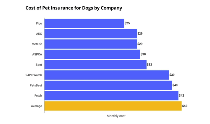 How Much Is Pet Insurance And What Is The Best One