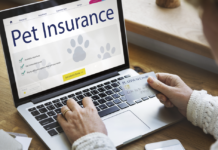 Is Pet Insurance Worth It? The New Benefits And Considerations Is Pet Insurance Worth It The New Benefits And Considerations