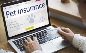 Is Pet Insurance Worth It? The New Benefits And Considerations Is Pet Insurance Worth It The New Benefits And Considerations