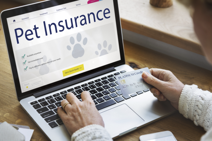 Is Pet Insurance Worth It The New Benefits And Considerations