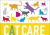 This Are The Best Cat Care Guidelines This Are The Best Cat Care Guidelines
