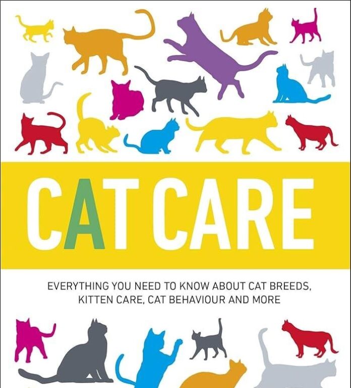 This Are The Best Cat Care Guidelines