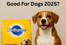 Is Pedigree Complete Nutrition Good For Dogs 2025? Is Pedigree Complete Nutrition Good For Dogs 2025