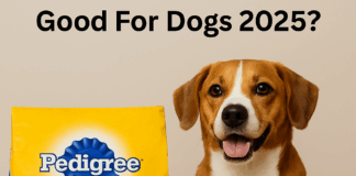 Is Pedigree Complete Nutrition Good For Dogs 2025