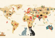 Are Immigrants Eating Pets? The Truth Behind The Misconception Are Immigrants Eating Pets Understanding the Truth Behind This Misconception (4)