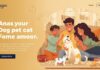 Why Do We Keep Pets 2 The New Role Of Pets In Our Lives (5)