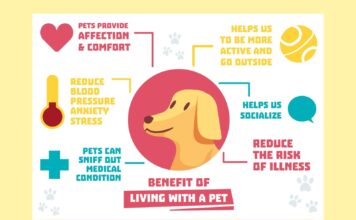 Common Pet Health Problems: Prevention Guide 2026 Common Pet Health Problems Prevention Guide 2026