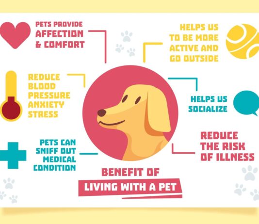 Common Pet Health Problems: Prevention Guide 2026 Common Pet Health Problems Prevention Guide 2026