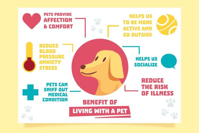 Common Pet Health Problems Prevention Guide 2026 Common Pet Health Problems Prevention Guide 2026
