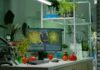Simple ways to live a sustainable life Eco friendly kitchen with reusables and fresh produce