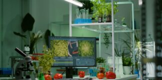 Simple ways to live a sustainable life Eco friendly kitchen with reusables and fresh produce