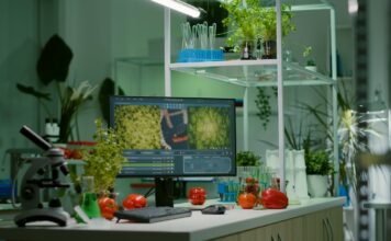 Simple Ways to Live a Sustainable Life Simple ways to live a sustainable life Eco friendly kitchen with reusables and fresh produce