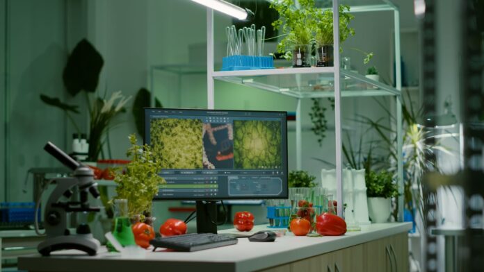 Simple ways to live a sustainable life Eco friendly kitchen with reusables and fresh produce Simple ways to live a sustainable life Eco friendly kitchen with reusables and fresh produce